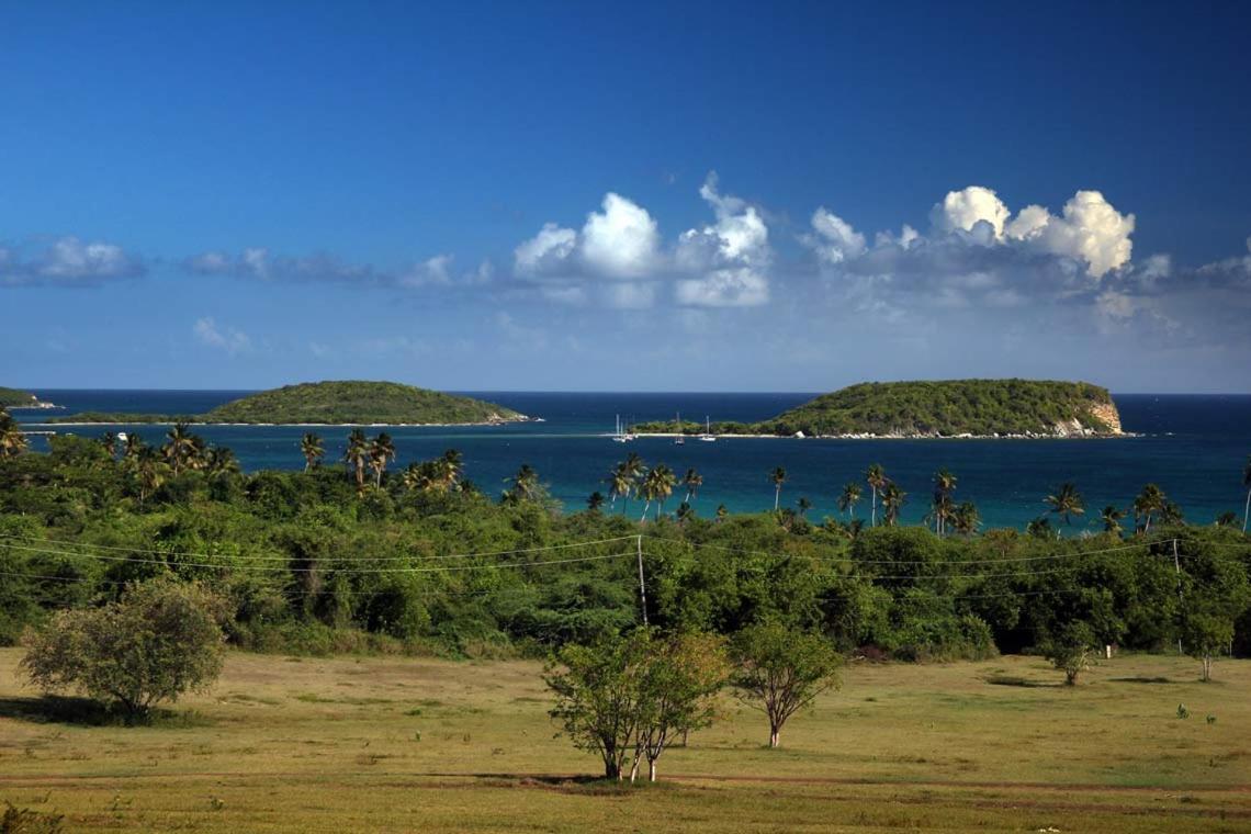 Hacienda Tamarindo Hotel Vieques Ngoại thất bức ảnh