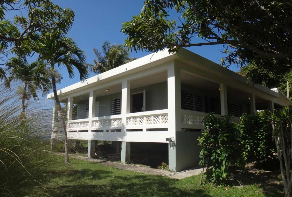 Hacienda Tamarindo Hotel Vieques Ngoại thất bức ảnh